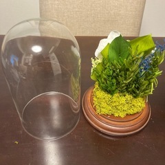 プレザーブドフラワー (中)の画像