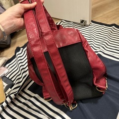 2way・2槽式リュック兼ボディバッグの画像