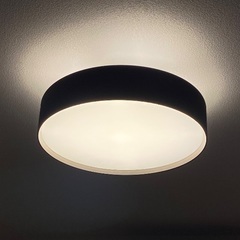 アートワークスタジオ 8畳用 シーリングライト ブラック&シャンパンゴールドの画像