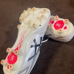 アシックススパイク ds
の画像