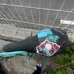 Bianchi ロードバイク　ビアニローネ
の画像