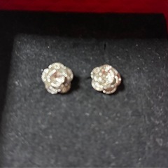 花ピアス
の画像