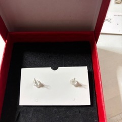 花ピアス
の画像