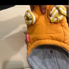 犬のペット洋服　Mサイズの画像