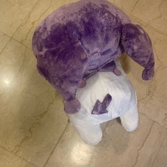 クロミセットの画像