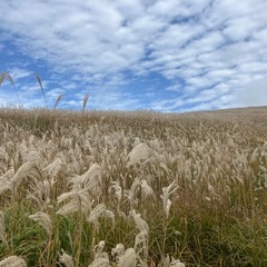 東京近郊下道ツーリング仲間募集❗️一緒に楽しく走りしょう‼️