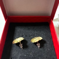 ハットピアスの画像