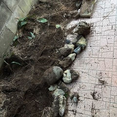 花壇の柵用の石と庭石をお譲りします
の画像