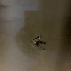 ローソファーの画像