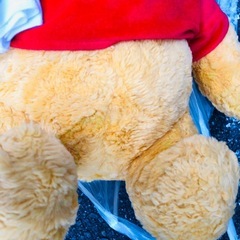 淀川区です！プーさん　ぬいぐるみの画像