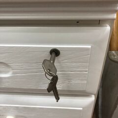 ローチェスト 三幸ジャパン 廃番品 🚚自社配送時💳代引き可🚚(現金、クレジット、スマホ決済対応)の画像