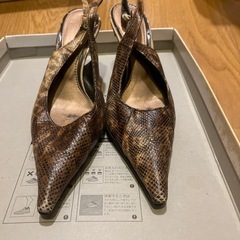 パンプス②の画像