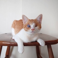 全盲だけどお転婆なリヒトちゃん