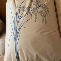 　⑤ 新米　玄米　キヌヒカリの画像