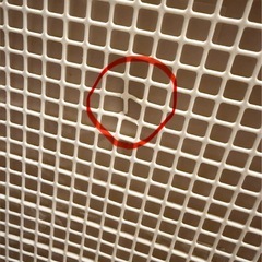 大型犬、多頭飼い、XLトイレトレー2個の画像