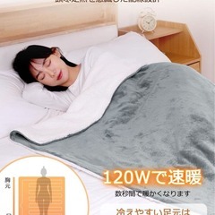 電気毛布❣️掛け敷き兼用 120W速暖 節電 188×130㎝ 10段階温度調整の画像