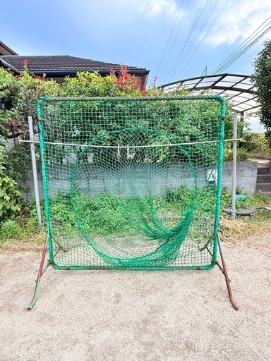 ティーネット　野球