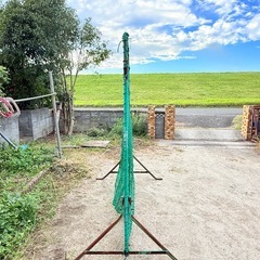 ティーネット　野球　　の画像