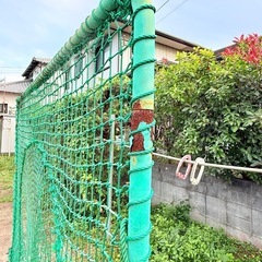 ティーネット　野球　　の画像