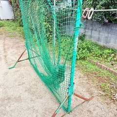 ティーネット　野球　　の画像