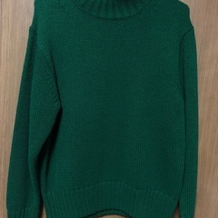 ローゲージタートルネックセーターの画像