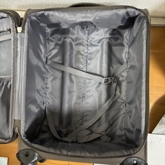 GRIFFIN LANDキャリーばバッグの画像
