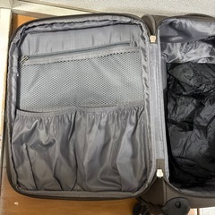 GRIFFIN LANDキャリーばバッグの画像