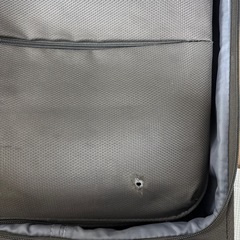 GRIFFIN LANDキャリーばバッグの画像