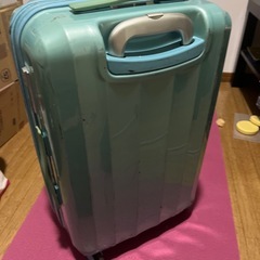 キャリーバッグの画像