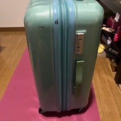 キャリーバッグの画像