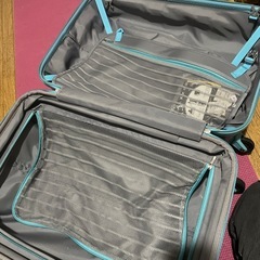 キャリーバッグの画像