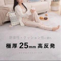新品　ラグ　グレージュ　の画像