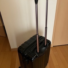 保管カバー付き／プライベートレーベル 黒キャリー（ジャンク） の画像