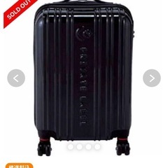 保管カバー付き／プライベートレーベル 黒キャリー（ジャンク） の画像