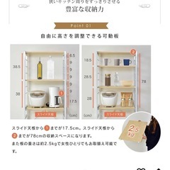 DORIS ドリス ゴミ箱収納ラック ゴミ箱収納付きレンジ台の画像