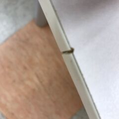 ＼家具＊家電のお店／【ｼﾞｬﾝｸﾞﾙｼﾞｬﾝｸﾞﾙ石川金沢店】ローテーブル ニトリ 白  W(幅)80×D(奥行き)60×H(高さ)35cmの画像