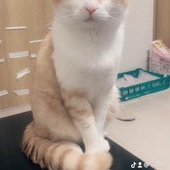 出来るだけ早めに