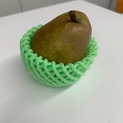 贈答用ラ・フランス①の画像