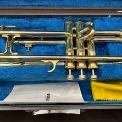 【ジャングルジャングル岸和田和泉インター店】ヒュッテル トランペット LINE800 HUTTL アルコール済み 未チェック品 楽器 管楽器 和泉市 堺市 岸和田市 泉大津市 高石市 泉北郡熊取町の画像