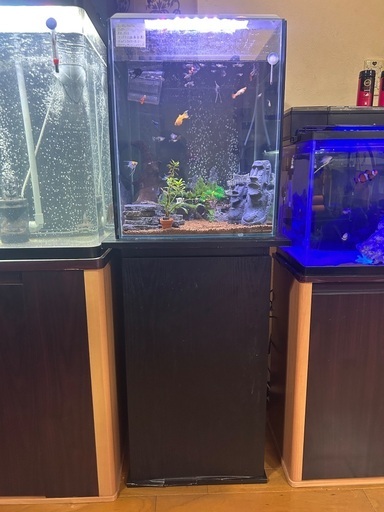 年末SALE!!!早い者勝ち!!!40×40×50キューブ水槽フルセット　早い者勝ち！