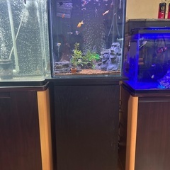 40×40×50キューブ水槽フルセット　早い者勝ち！の画像