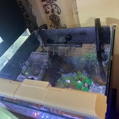 40×40×50キューブ水槽フルセット　早い者勝ち！の画像