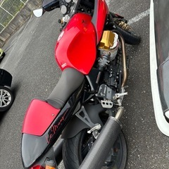 モトーグッチ　V11ルマンの画像