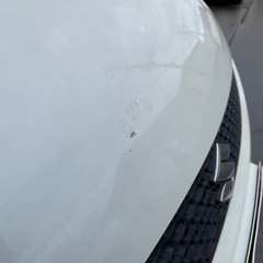 車検長い! スズキスイフトの画像