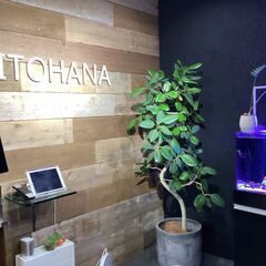 【年収600万円～】在宅専門薬局の立ち上げ管理薬剤師募集！横浜市内に新規開設予定の画像