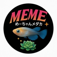 【メダカ】ハイビスカス10匹　(スワロー無し)の画像