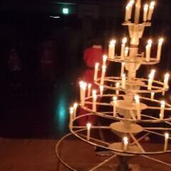 🌳【モニター枠半額！】1泊2日の英語体験教室！の画像