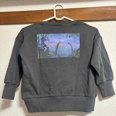 ジュラシックワールドトレーナー110の画像