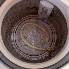 2019年製 SHARP 8Kg洗濯機　中古品の画像