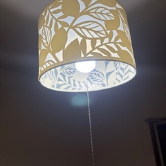 冷蔵庫、電子レンジラック、
照明の画像